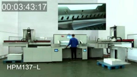 Sistema automático de corte de papel (HPM